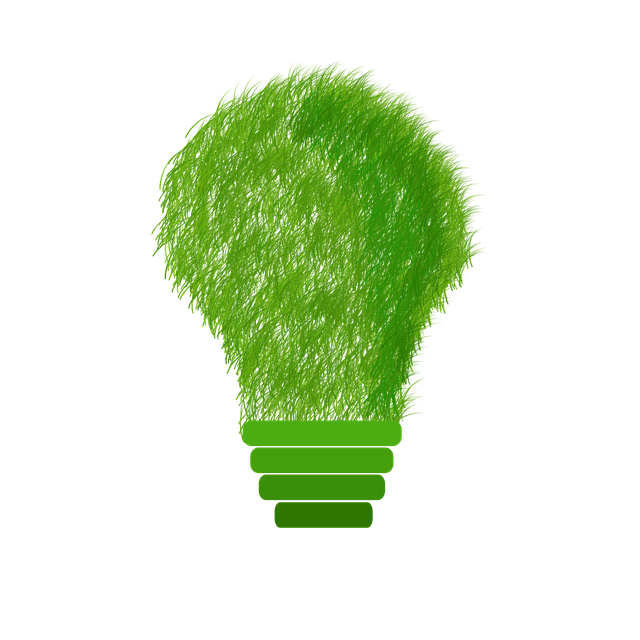 green-1966408_640