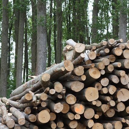 wood-825792_640 (1)